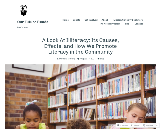 Screenshot of the Illiteracy: Causes & Effects website