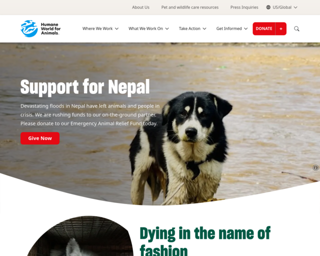Screenshot of the Humane World for Animals website