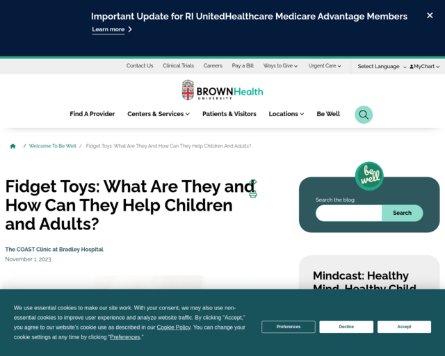 Screenshot of the Purposes of Fidgets website