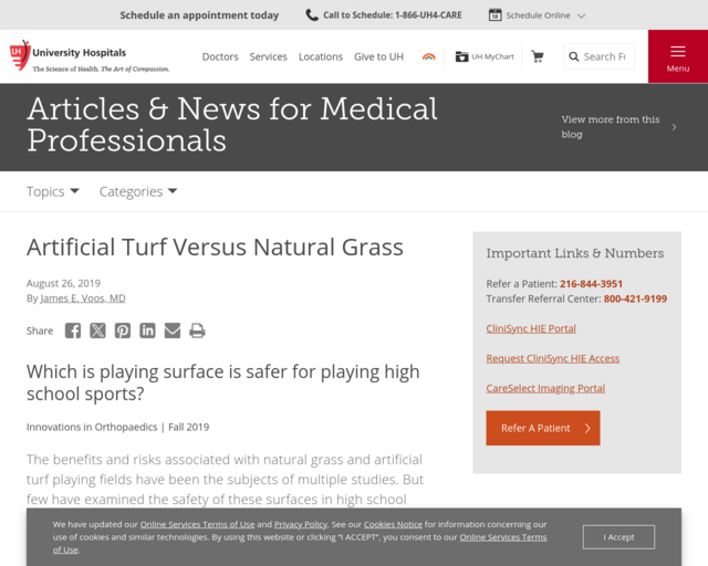Screenshot of the Artificial Turf vs.Natural Grass website