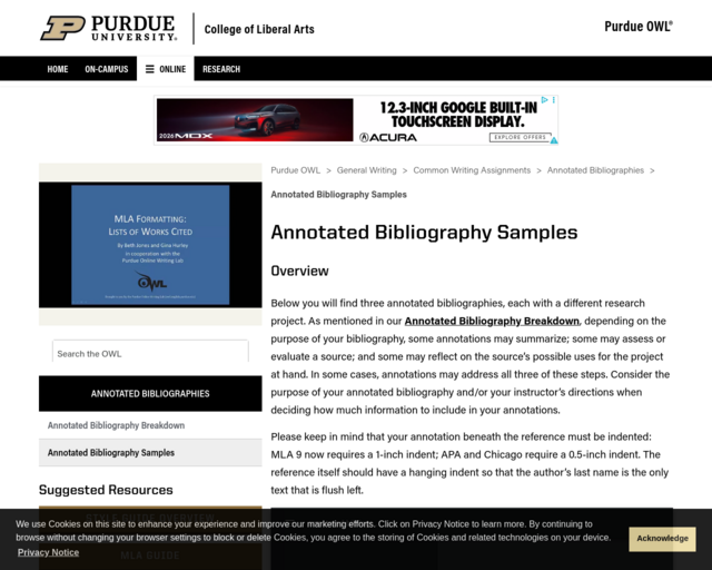 Screenshot of the Annotated Bibliography Instructions and Examples website