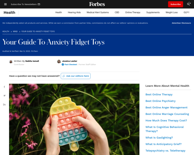 Screenshot of the Your Guide to Fidgets website