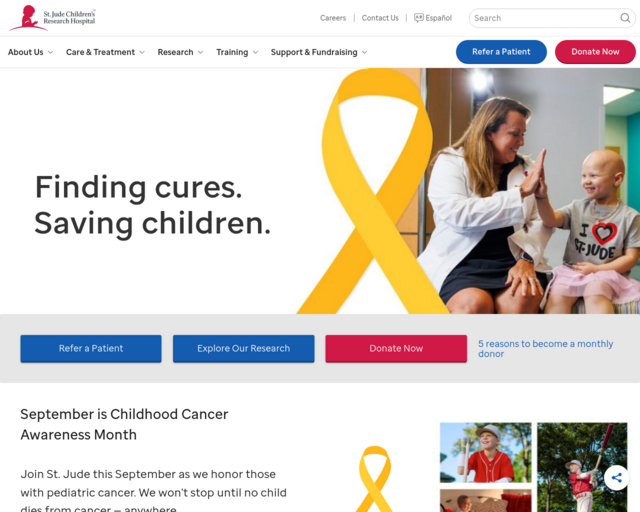 Screenshot of the St. Jude website
