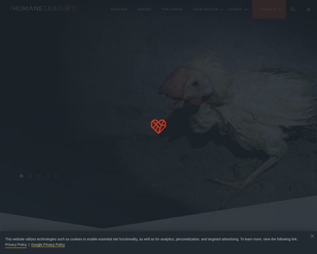Screenshot of the The Humane League website