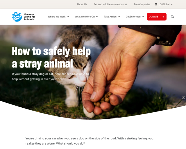 Screenshot of the How to Help Stray Animals website