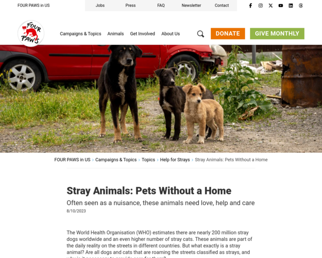 Screenshot of the Stray Animals in the US website
