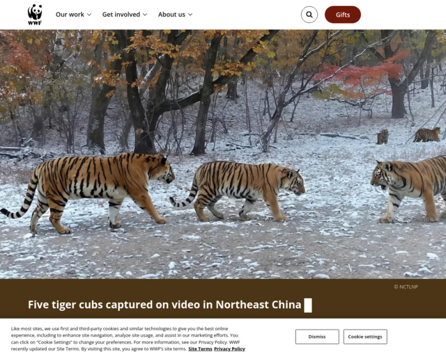 Screenshot of the World Wildlife Federation website