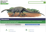 Dinosaurs